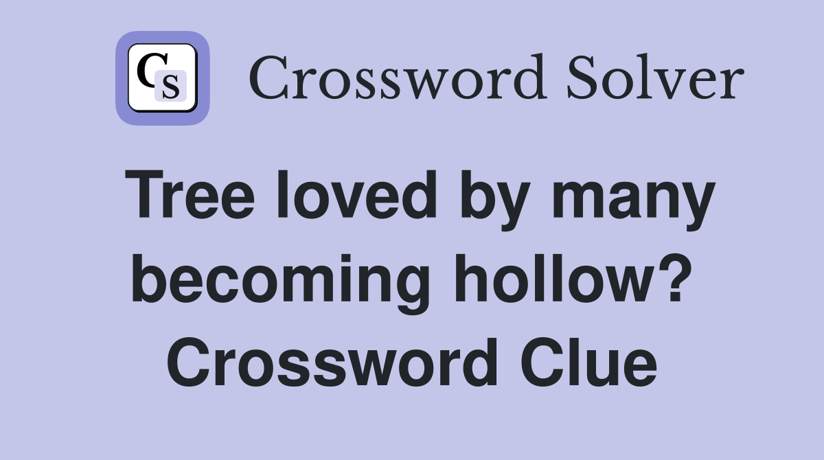 Tree loved by many becoming hollow? Crossword Clue