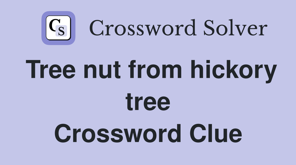 Tree nut from hickory tree Crossword Clue