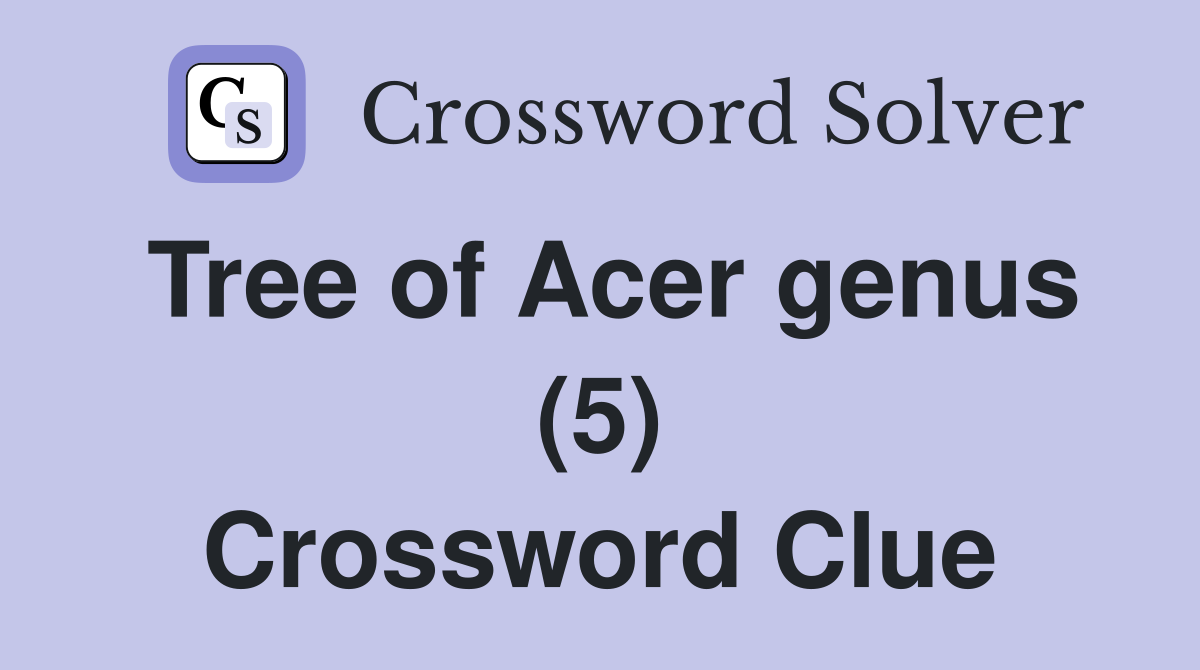 Tree of Acer genus (5) Crossword Clue