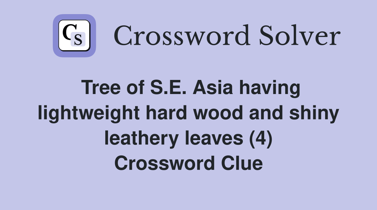 Tree of S.E. Asia having lightweight hard wood and shiny leathery leaves (4) Crossword Clue