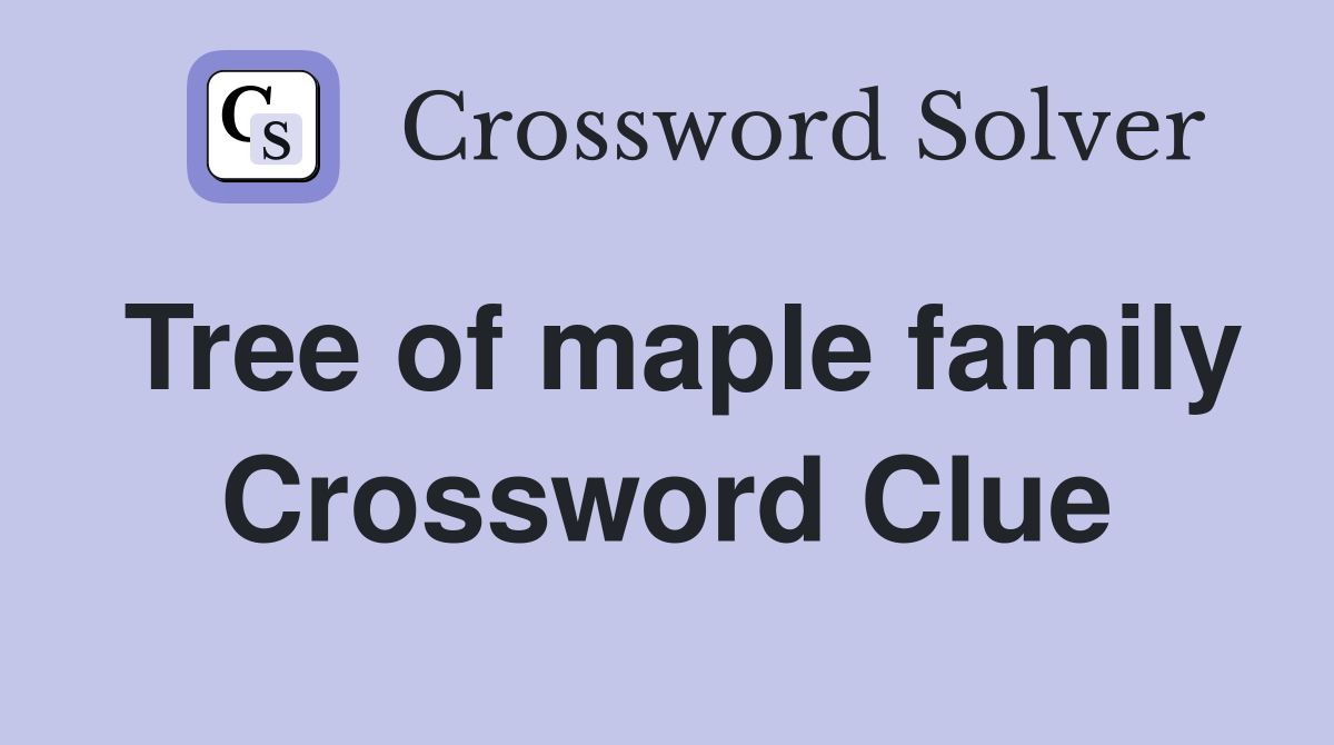 Tree of maple family Crossword Clue