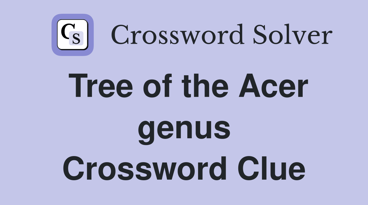 Tree of the Acer genus Crossword Clue