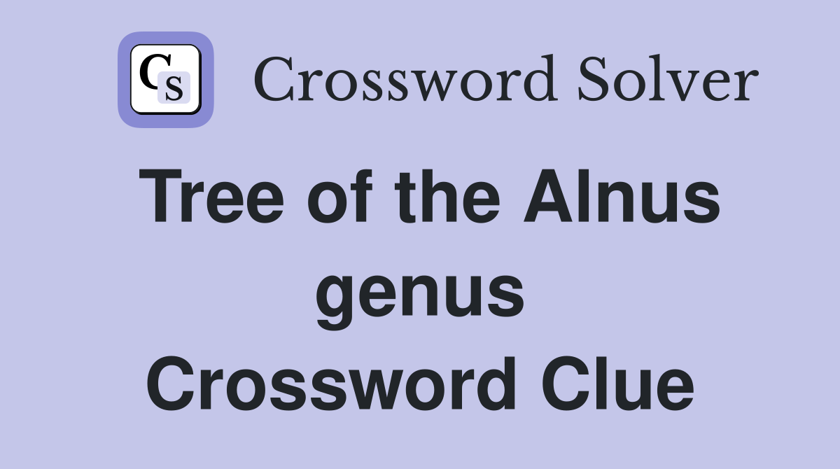 Tree of the Alnus genus Crossword Clue