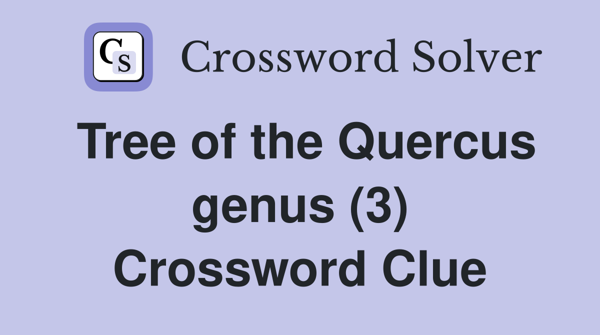 Tree of the Quercus genus (3) Crossword Clue