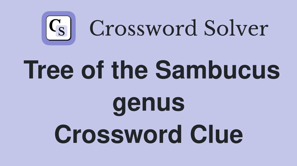 Tree of the Sambucus genus Crossword Clue