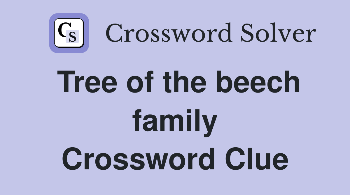 Tree of the beech family Crossword Clue