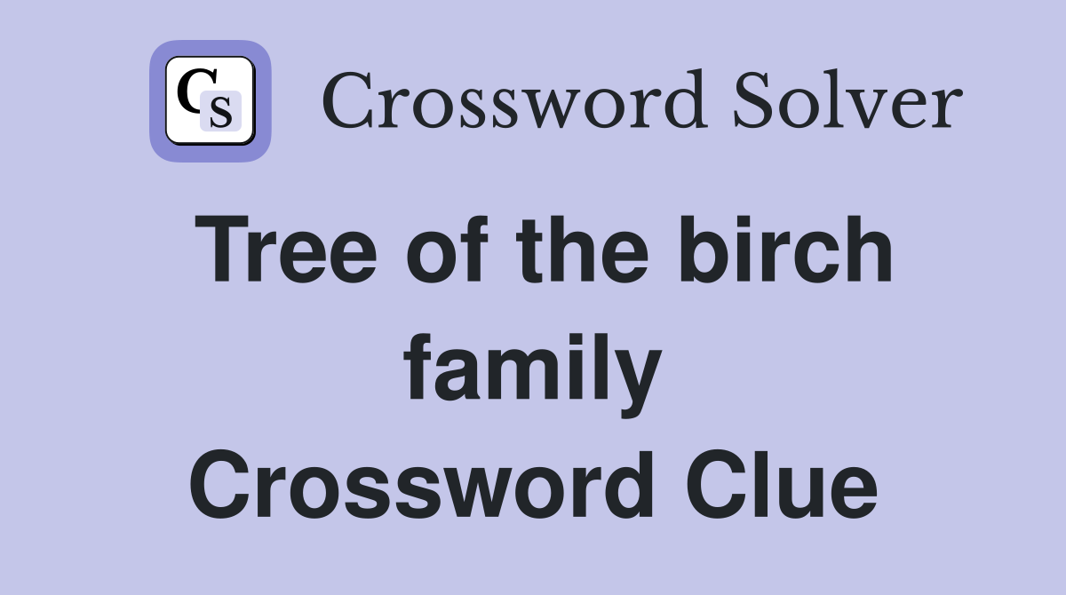 Tree of the birch family Crossword Clue