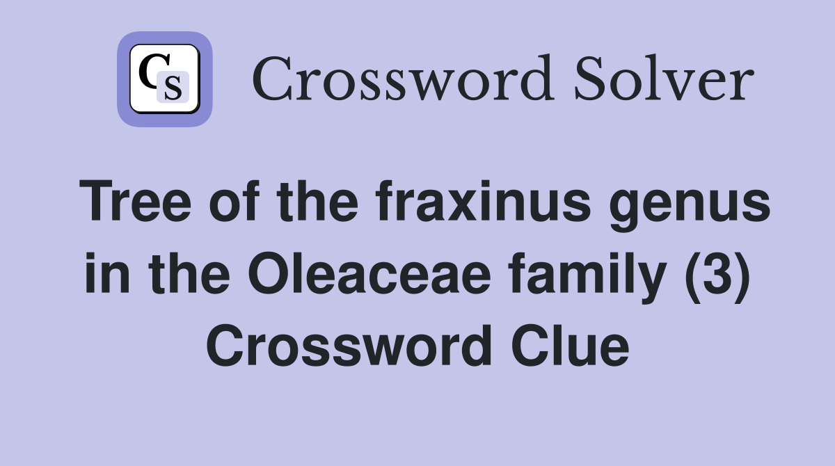 Tree of the fraxinus genus in the Oleaceae family (3) Crossword Clue