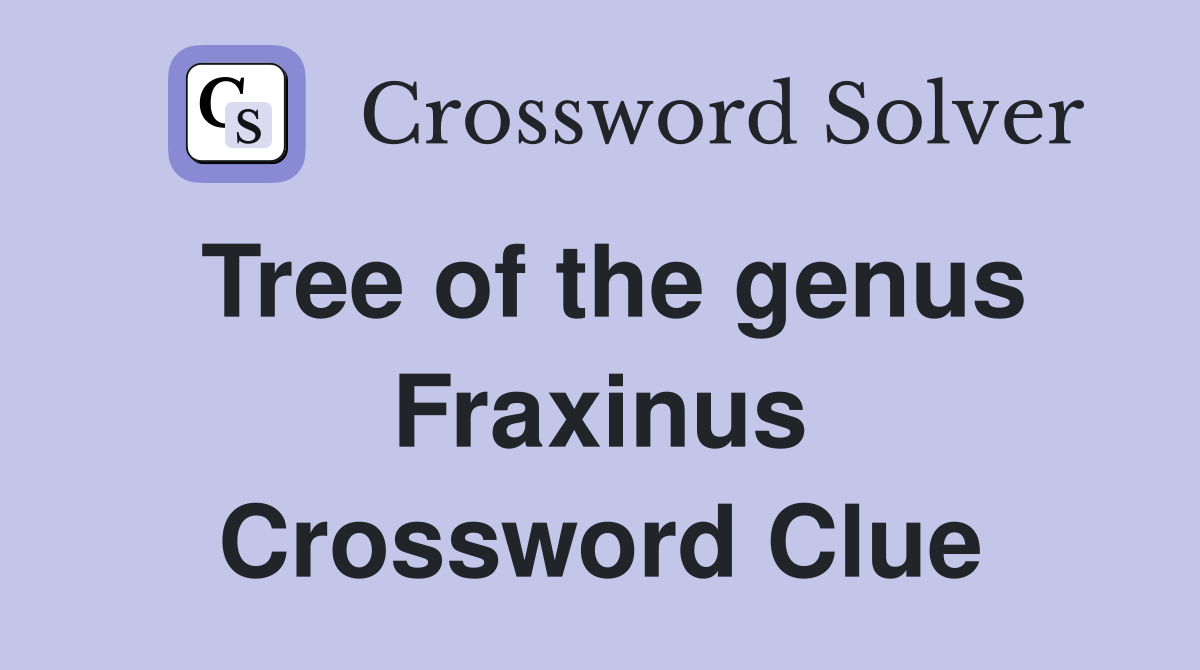 Tree of the genus Fraxinus Crossword Clue