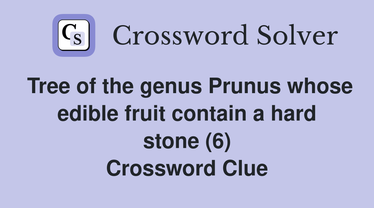 Tree of the genus Prunus whose edible fruit contain a hard stone (6) Crossword Clue