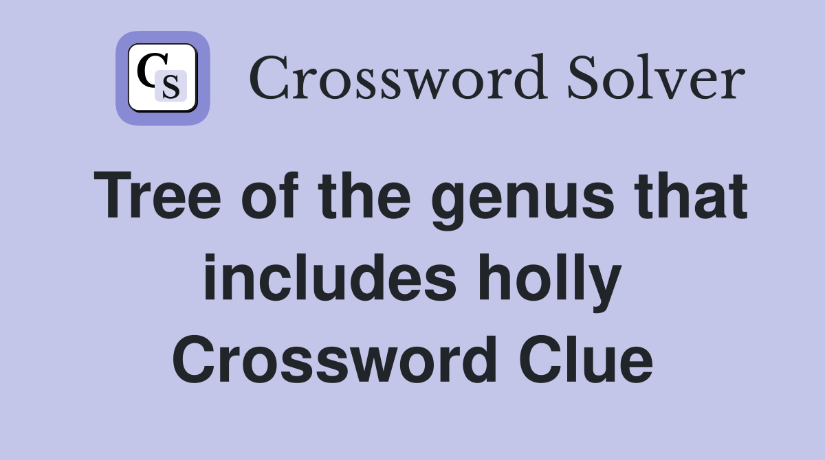 Tree of the genus that includes holly Crossword Clue