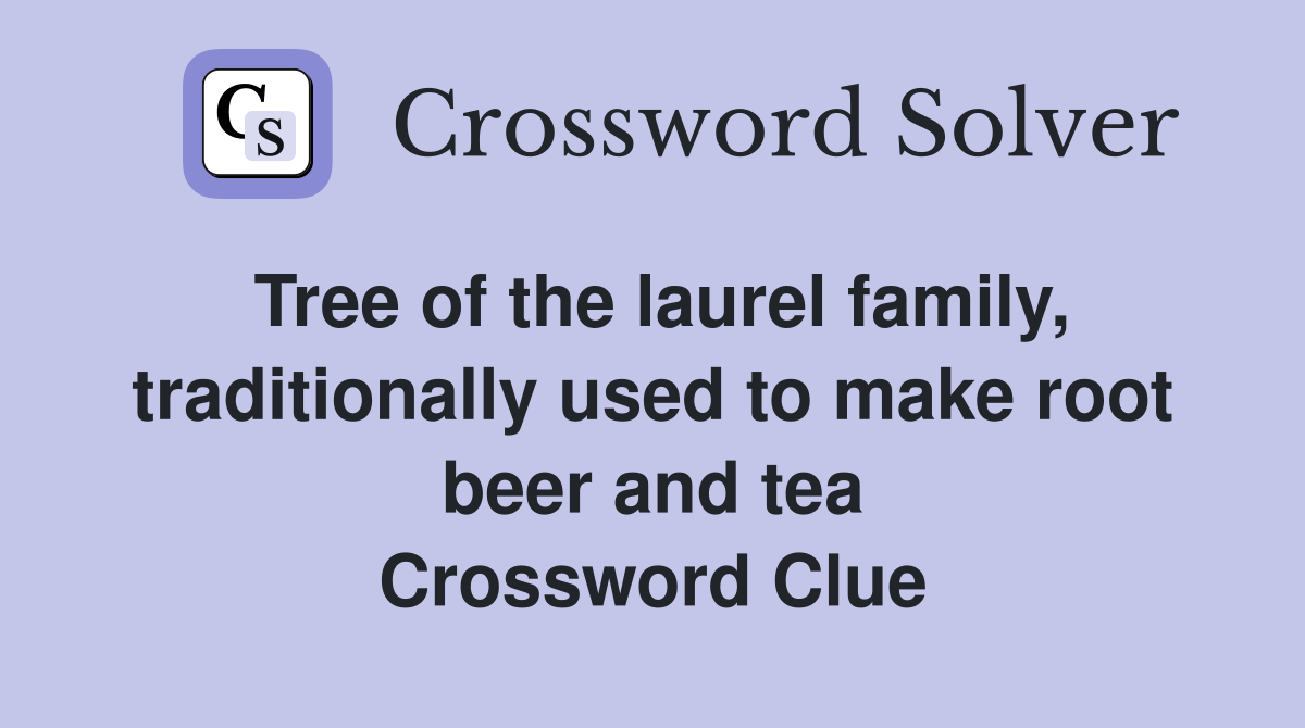 Tree of the laurel family, traditionally used to make root beer and tea Crossword Clue