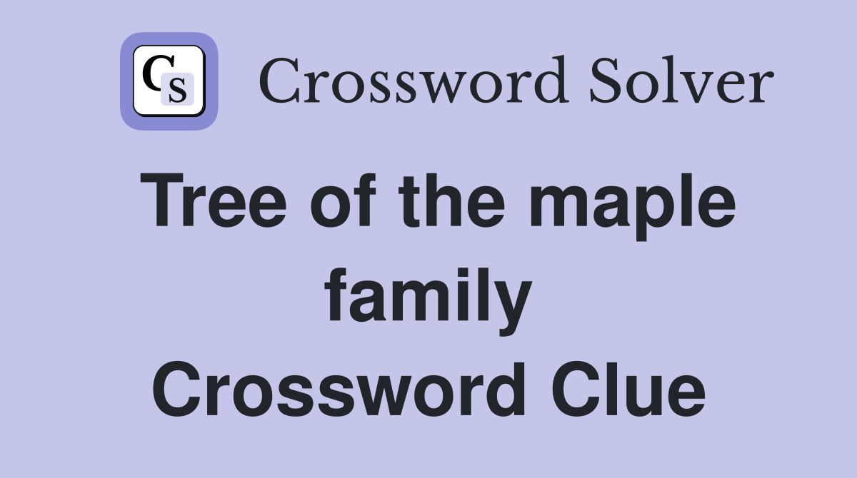 Tree of the maple family Crossword Clue