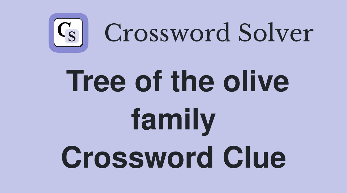 Tree of the olive family Crossword Clue