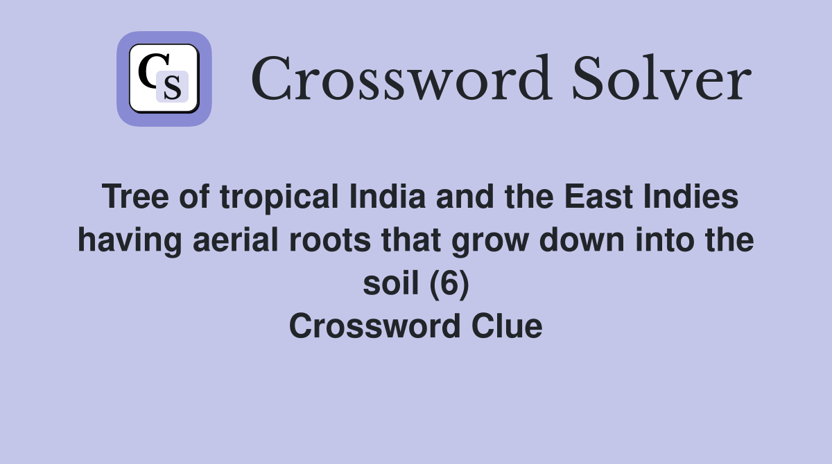 Tree of tropical India and the East Indies having aerial roots that grow down into the soil (6) Crossword Clue