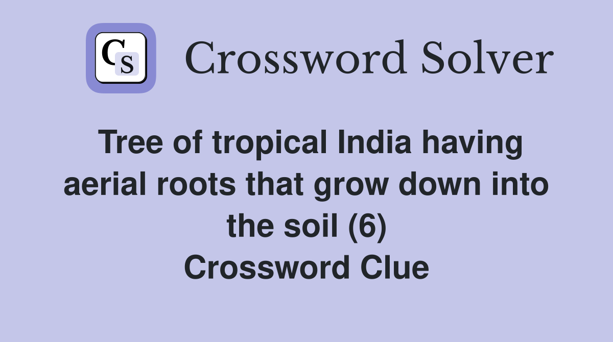 Tree of tropical India having aerial roots that grow down into the soil (6) Crossword Clue