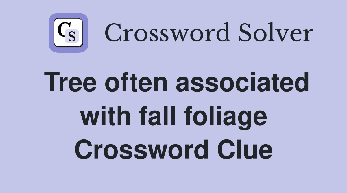 Tree often associated with fall foliage Crossword Clue