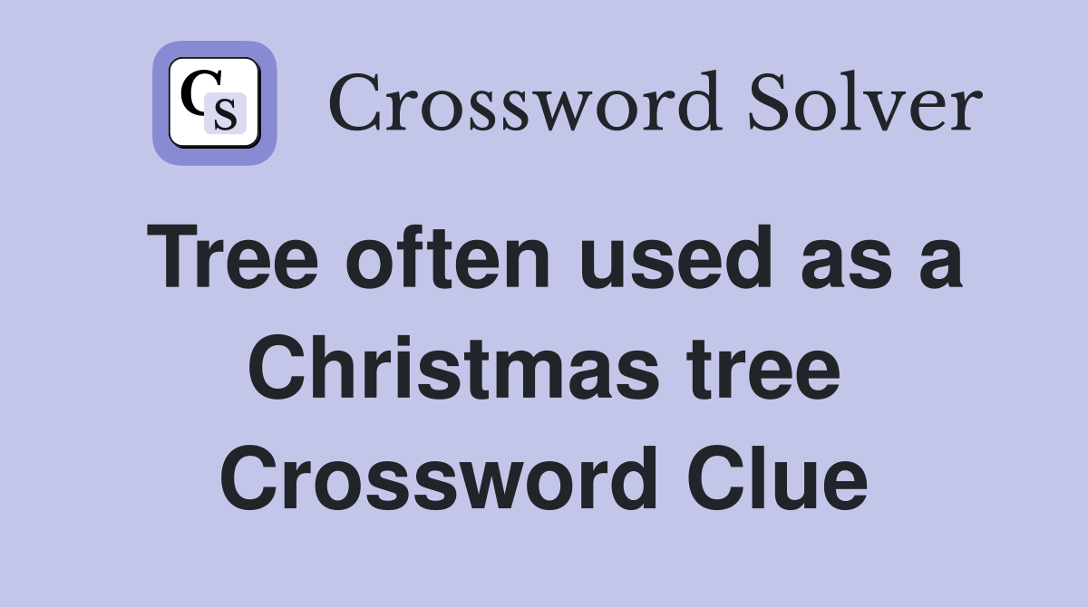 Tree often used as a Christmas tree Crossword Clue