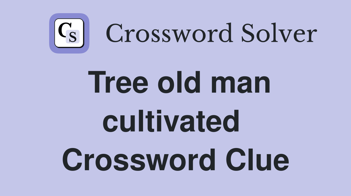 Tree old man cultivated  Crossword Clue