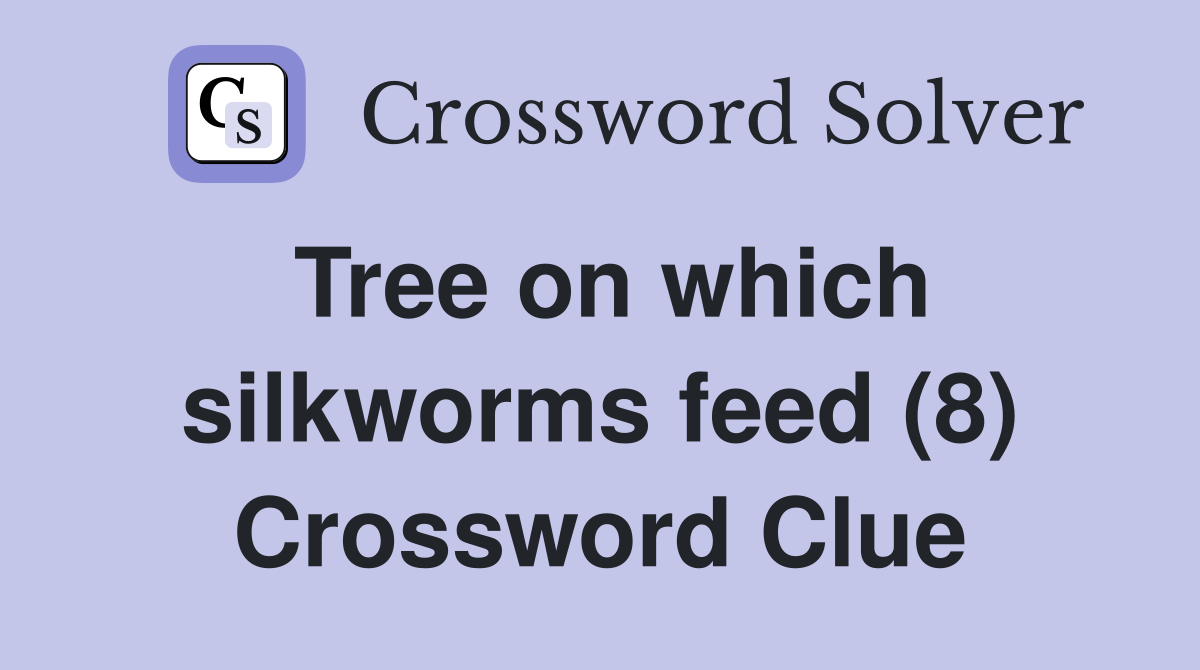 Tree on which silkworms feed (8) Crossword Clue