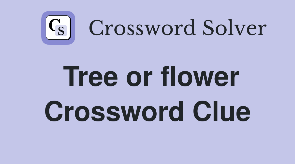 Tree or flower Crossword Clue