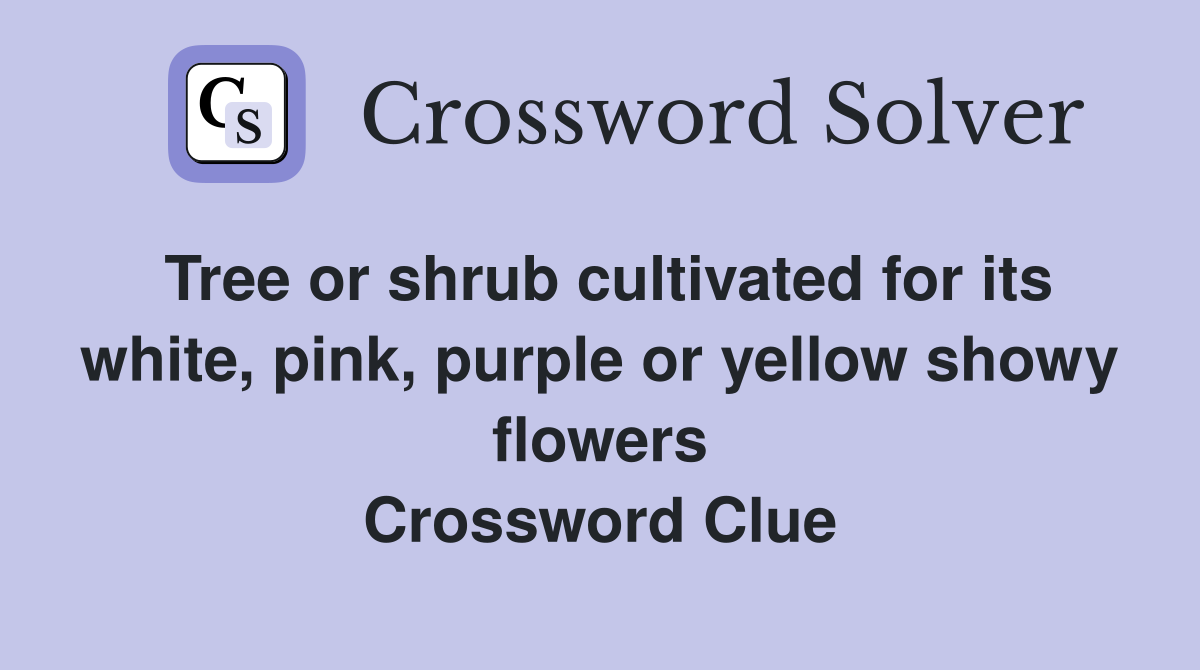 Tree or shrub cultivated for its white, pink, purple or yellow showy flowers Crossword Clue