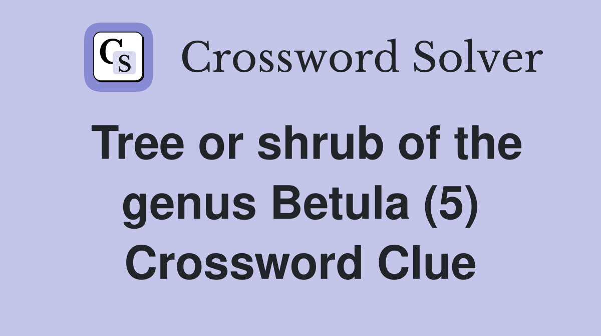 Tree or shrub of the genus Betula (5) Crossword Clue