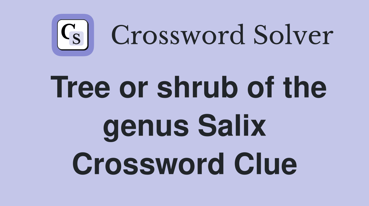Tree or shrub of the genus Salix Crossword Clue