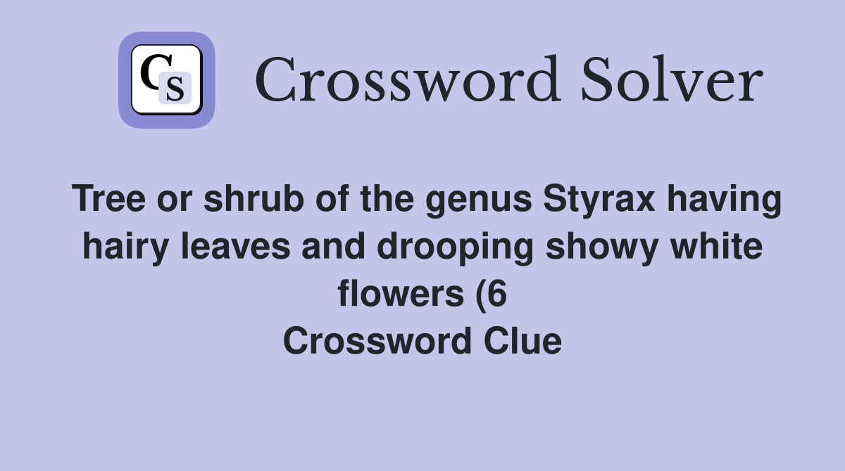 Tree or shrub of the genus Styrax having hairy leaves and drooping Tree or shrub of the genus Styrax having hairy leaves and drooping