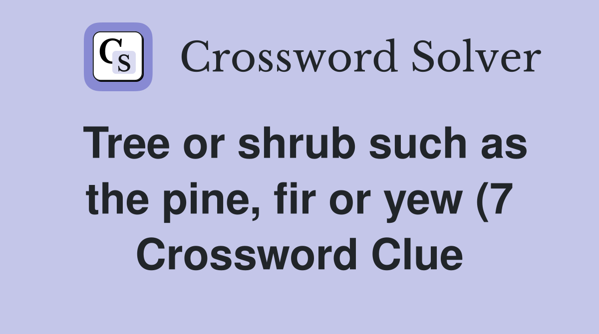 Tree or shrub such as the pine fir or yew (7) Crossword Clue Answers Tree or shrub such as the pine fir or yew (7) Crossword Clue Answers