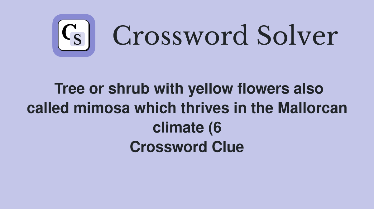 Tree or shrub with yellow flowers also called mimosa which thrives in Tree or shrub with yellow flowers also called mimosa which thrives in