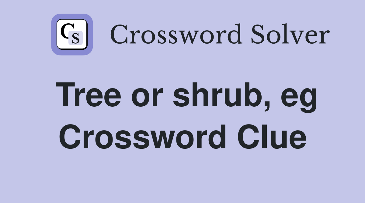 Tree or shrub, eg Crossword Clue
