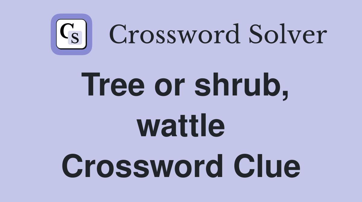 Tree or shrub, wattle Crossword Clue