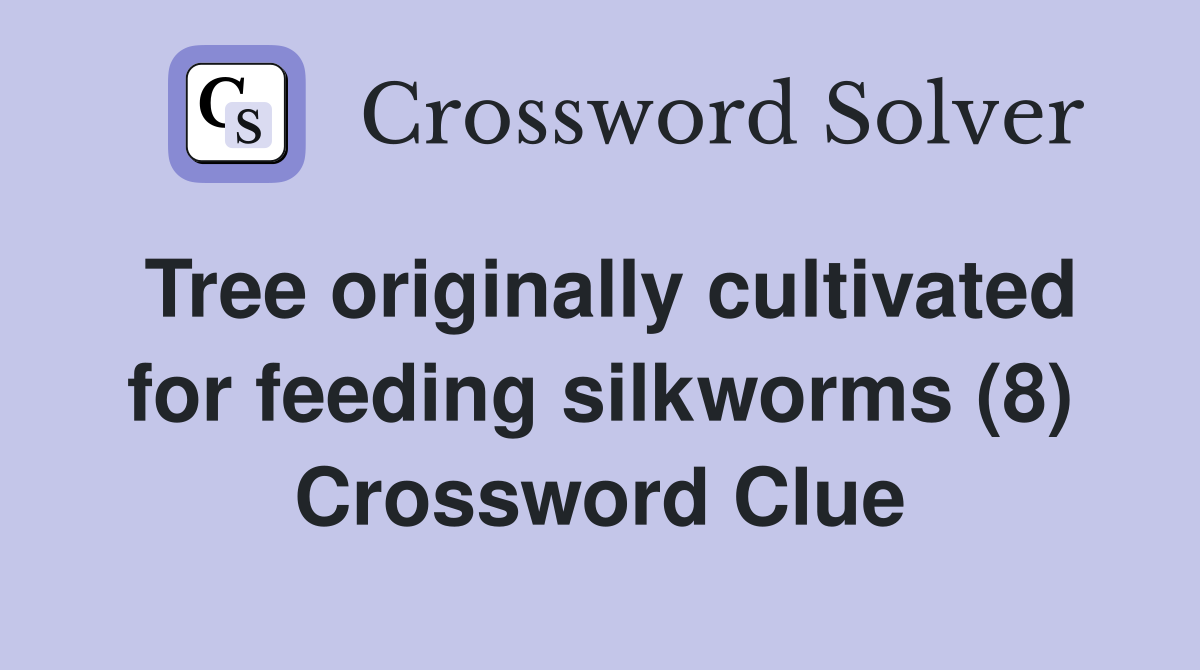 Tree originally cultivated for feeding silkworms (8) Crossword Clue