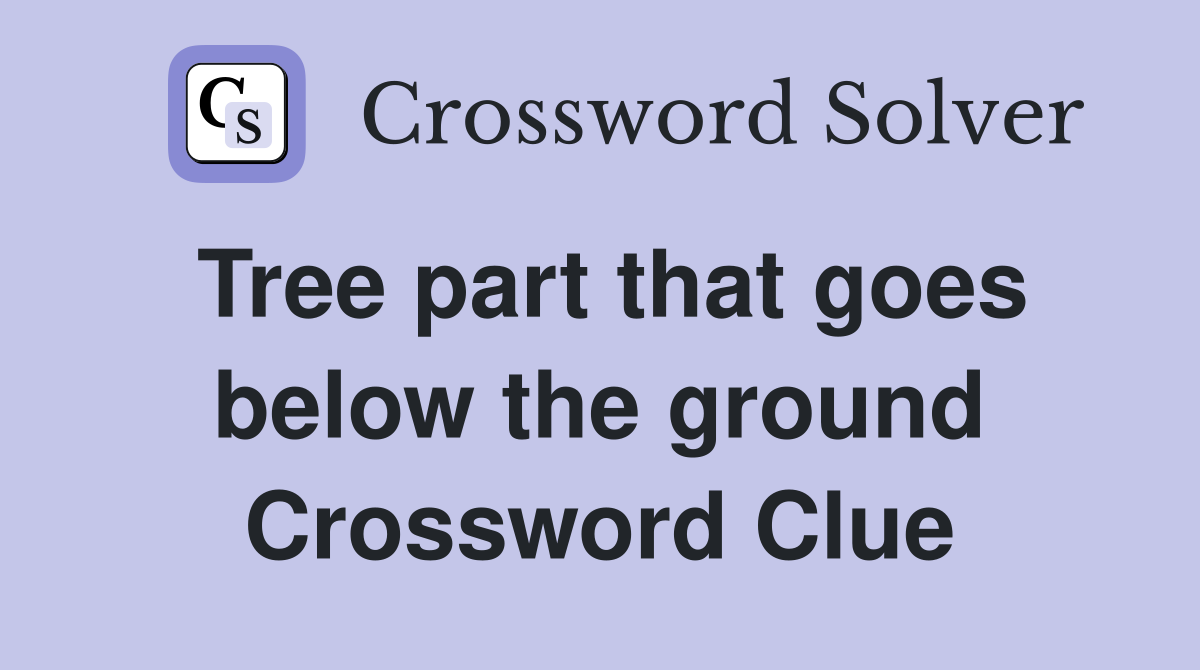 Tree part that goes below the ground Crossword Clue