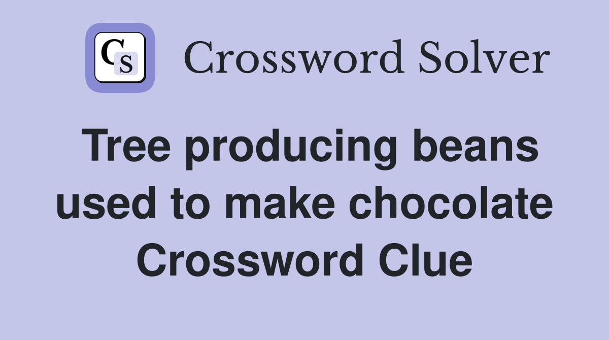 Tree producing beans used to make chocolate Crossword Clue