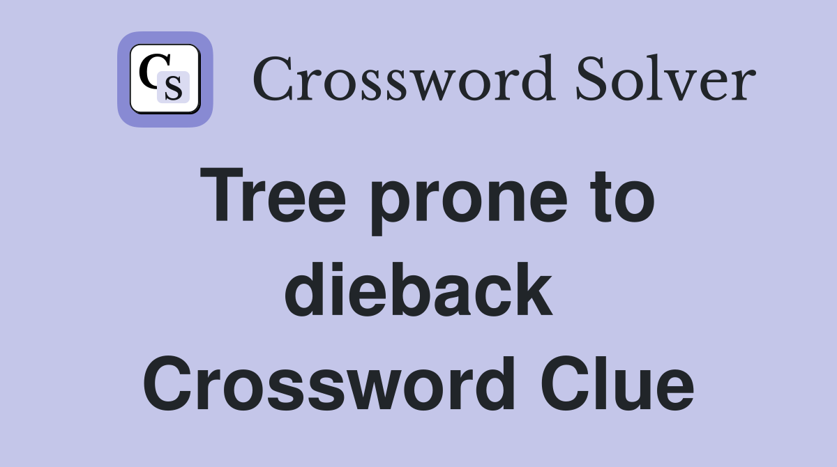 Tree prone to dieback Crossword Clue