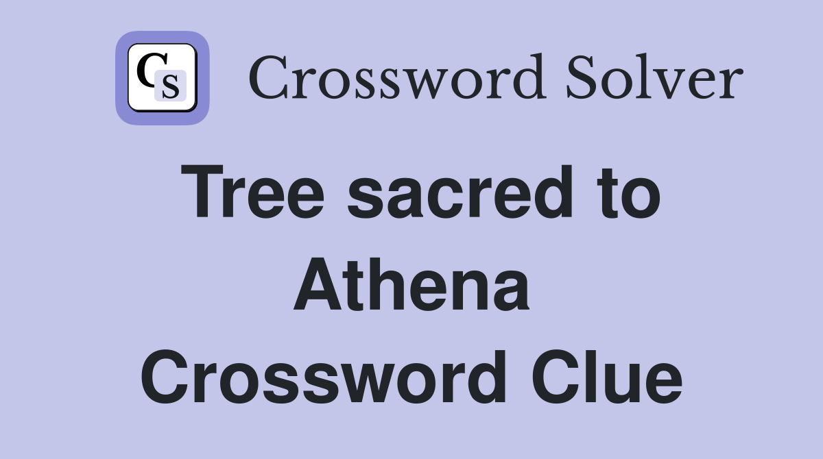 Tree sacred to Athena Crossword Clue