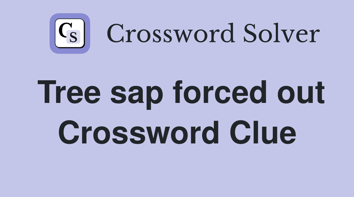 Tree sap forced out Crossword Clue