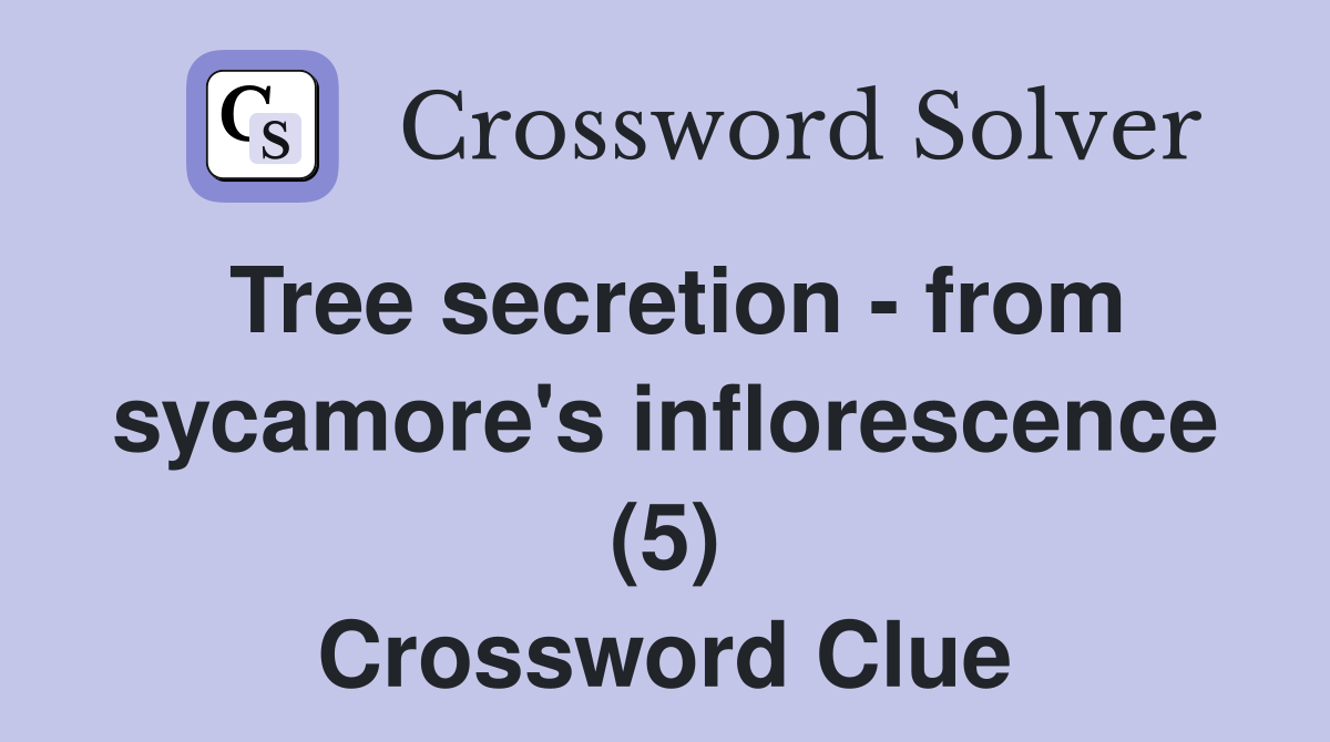 Tree secretion - from sycamore's inflorescence (5) Crossword Clue