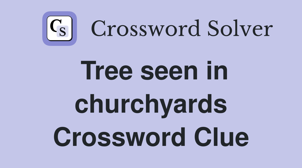 Tree seen in churchyards Crossword Clue