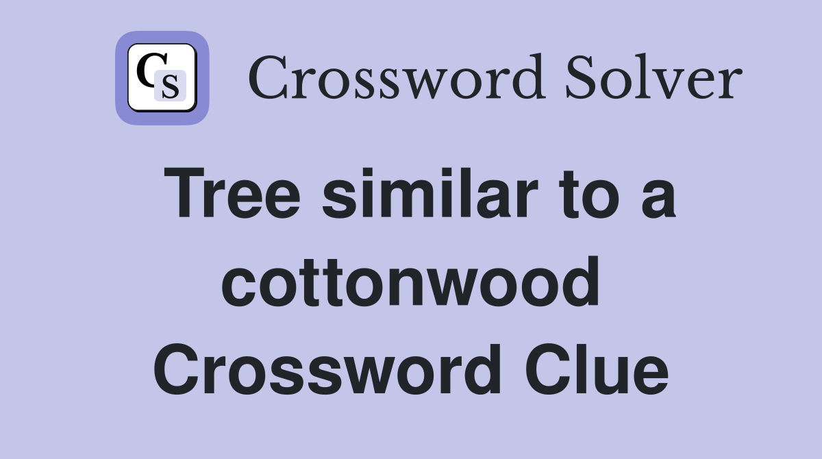 Tree similar to a cottonwood Crossword Clue