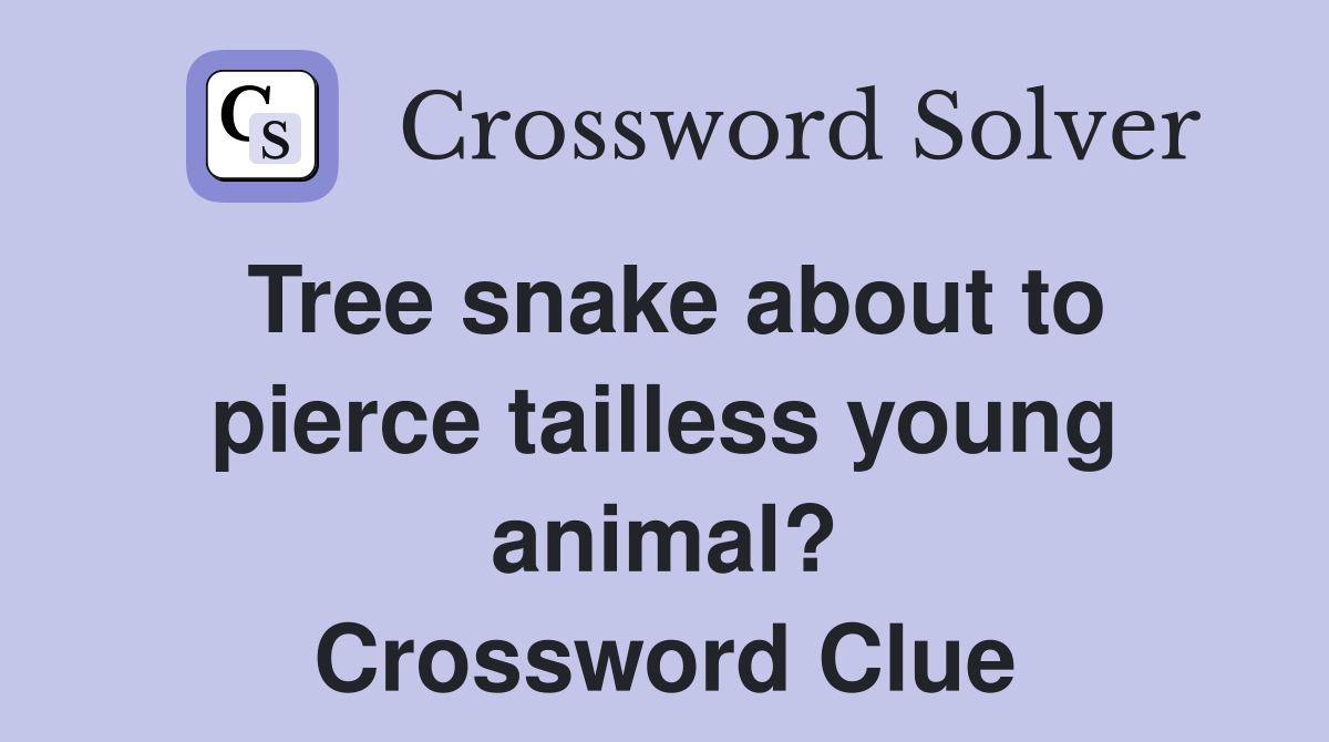 Tree snake about to pierce tailless young animal? Crossword Clue