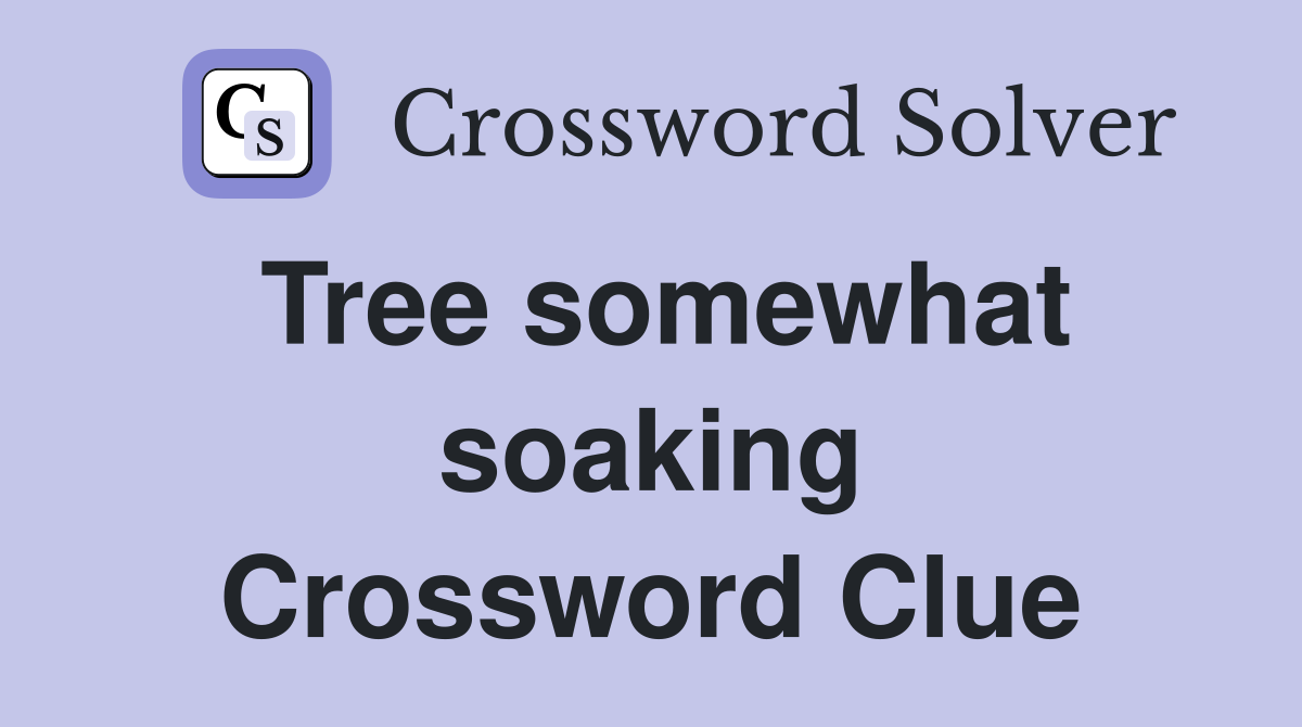 Tree somewhat soaking Crossword Clue