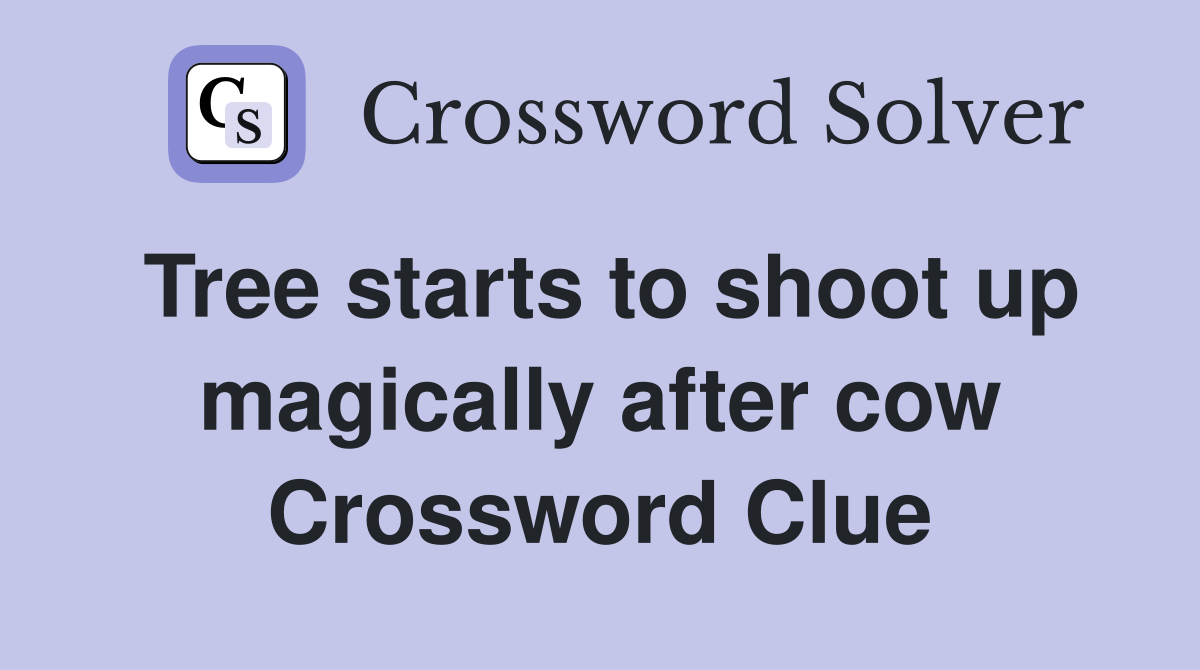 Tree starts to shoot up magically after cow Crossword Clue