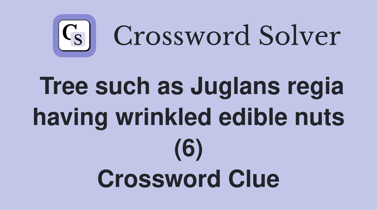 Tree such as Juglans regia having wrinkled edible nuts (6) Crossword Clue