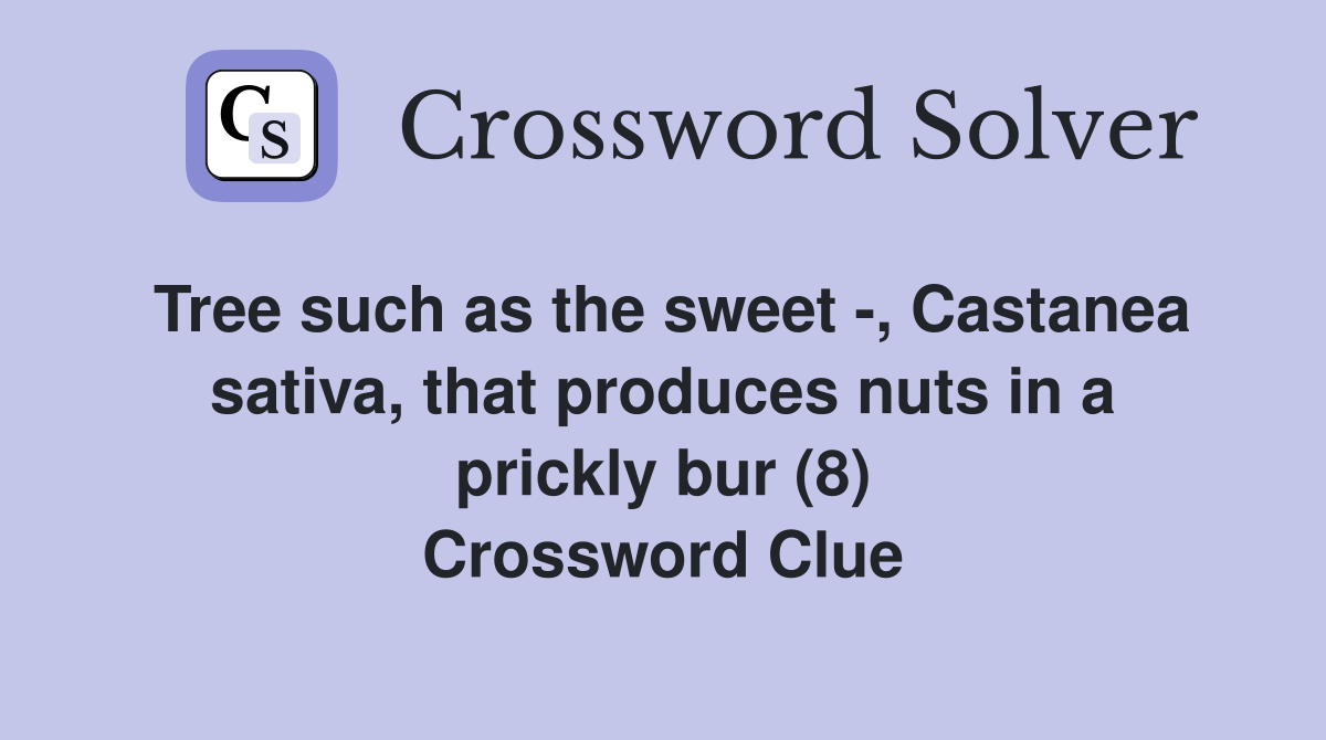 Tree such as the sweet -, Castanea sativa, that produces nuts in a prickly bur (8) Crossword Clue