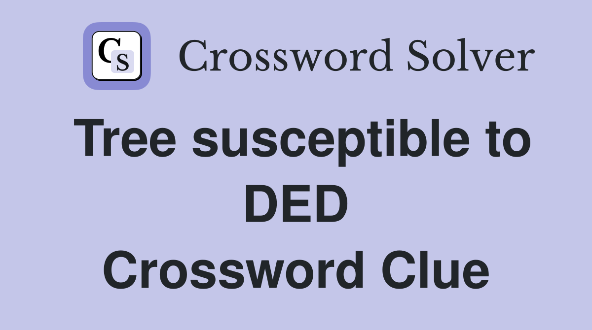 Tree susceptible to DED Crossword Clue