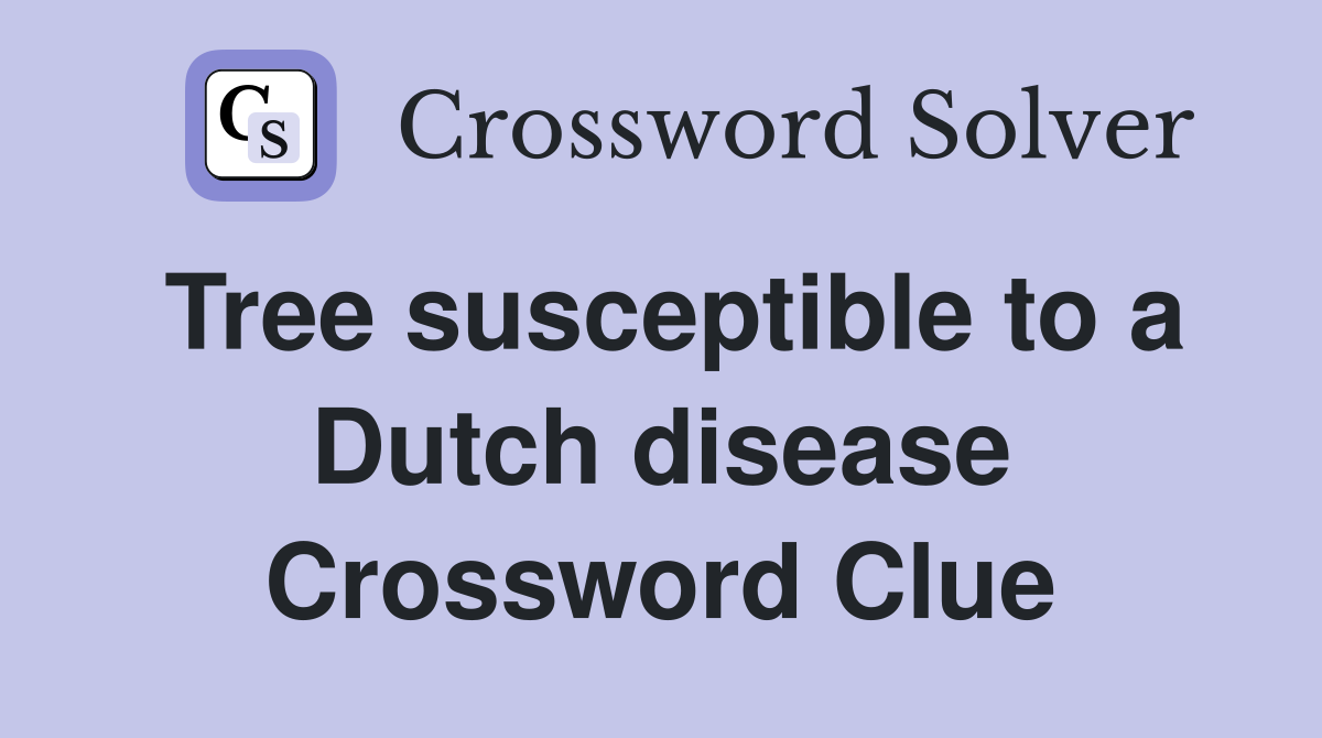 Tree susceptible to a Dutch disease Crossword Clue