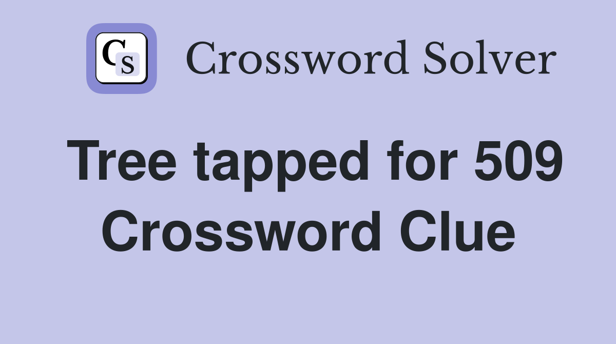 Tree tapped for 509 Crossword Clue